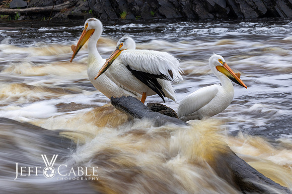 Edit-Minnesota-Photo-Tour-0341