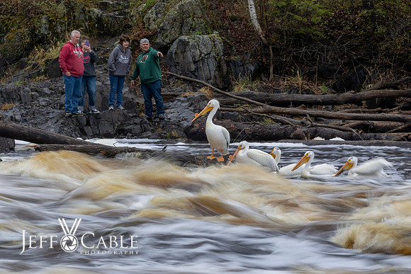 Edit-Minnesota-Photo-Tour-0395