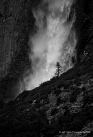 Edit_Yosemite_2016_0354_BW_crop