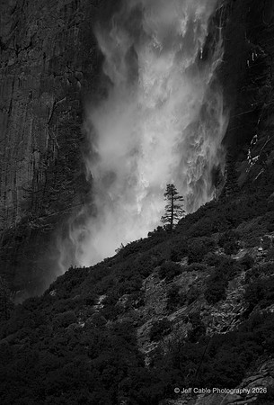 Edit_Yosemite_2016_0354_BW_crop