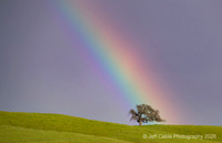 Edit-March-Rainbow-off-280