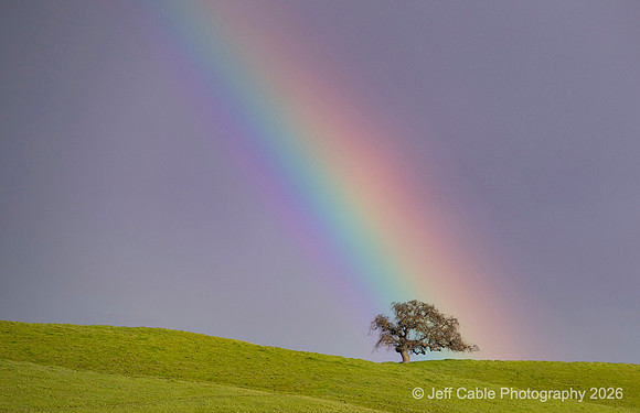 Edit-March-Rainbow-off-280