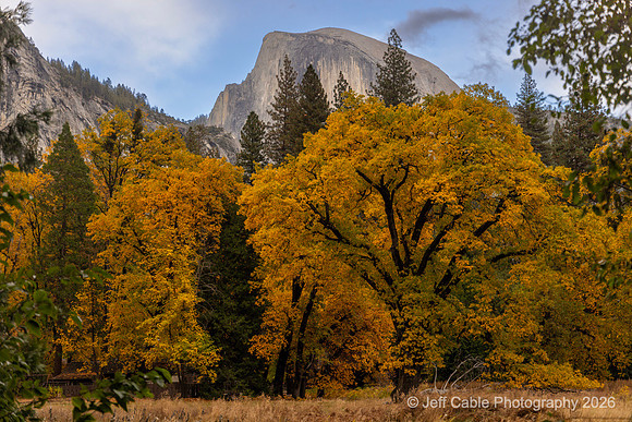 Edit-Yosemite-0154