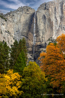 Edit-Yosemite-0231