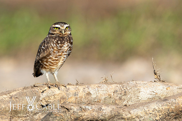 Peru Photo Tour