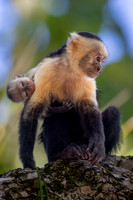 Costa Rica Photo Tours
