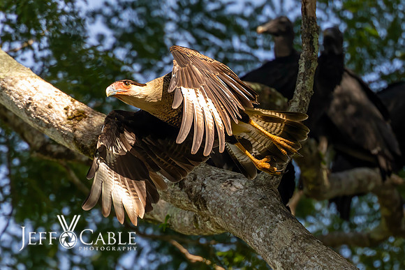 Costa Rica Photo Tours