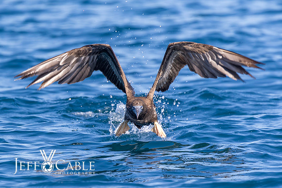 Costa Rica Photo Tours