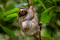 Costa Rica Photo Tours