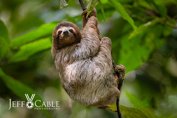 Costa Rica Photo Tours