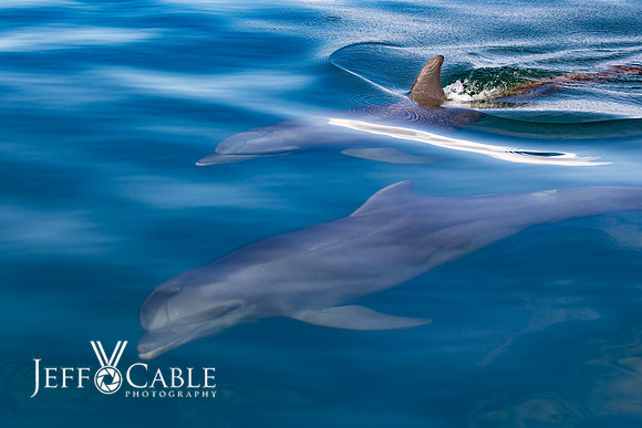 Costa Rica Photo Tours