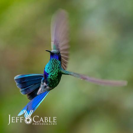 Peru Photo Tour