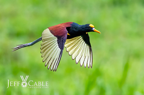 Costa Rica Photo Tours