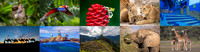 Tour Banner for Web Page