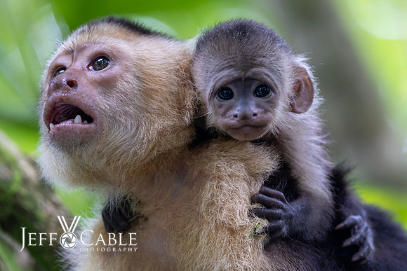 Costa Rica Photo Tours