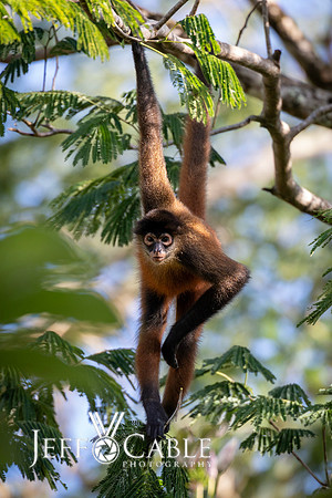 Costa Rica Photo Tours