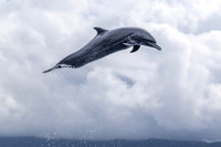 Costa Rica Photo Tours