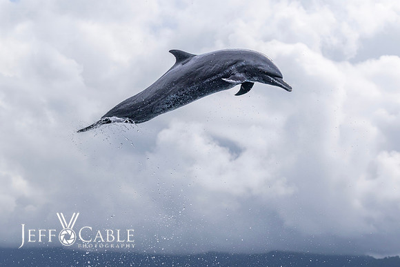 Costa Rica Photo Tours