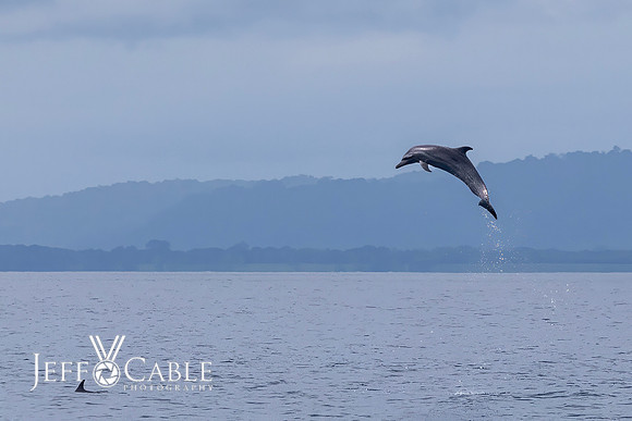 Costa Rica Photo Tours
