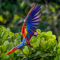 Costa Rica Photo Tours
