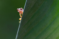 Costa Rica Photo Tours