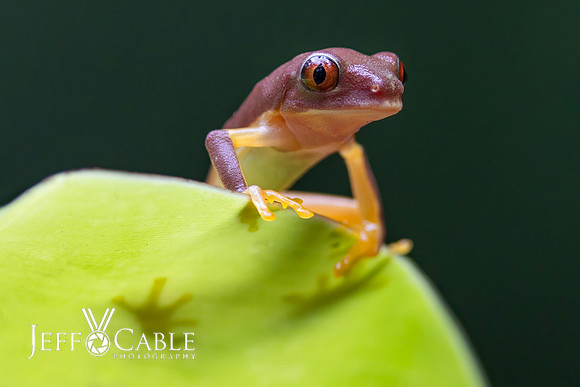 Costa Rica Photo Tours