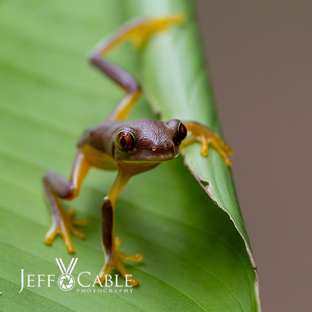 Costa Rica Photo Tours