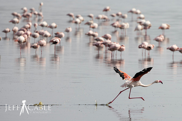 Edit-Tanzania2023-1010-crop