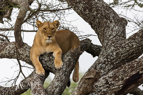 Edit-Tanzania2023-0857