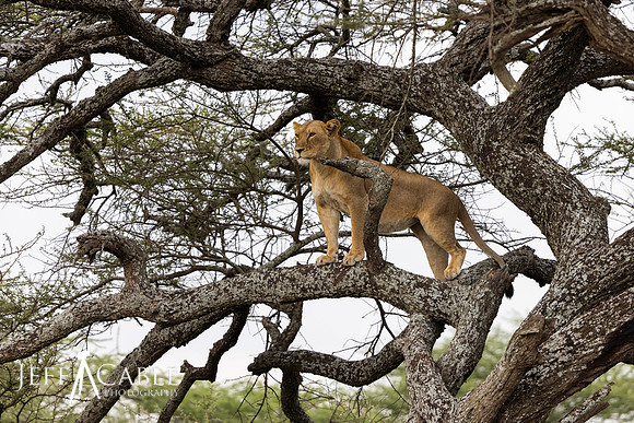 Edit-Tanzania2023-0826