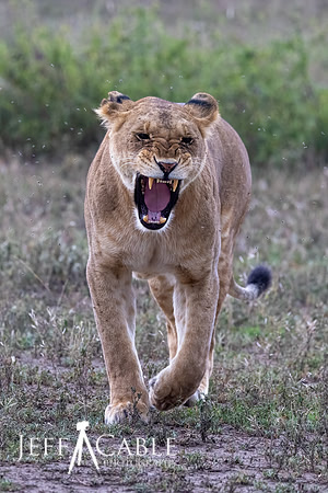 Edit-Tanzania2023-2309