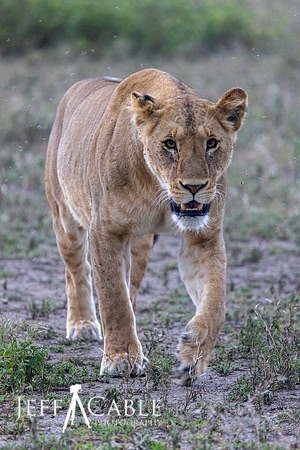 Edit-Tanzania2023-2313