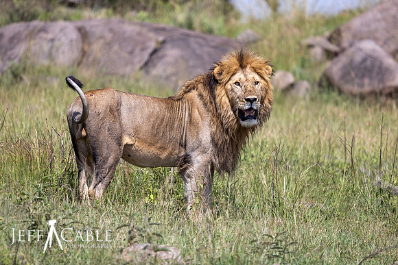 Edit-Tanzania2023-2835
