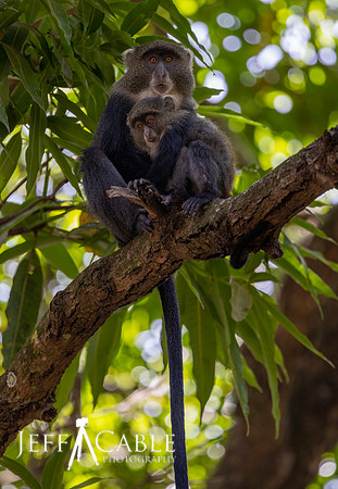 Edit-Tanzania2023-3122-uncropped