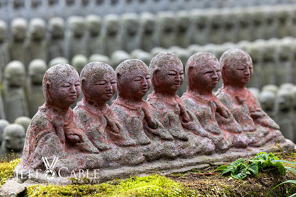 Edit-Japan-Photo-Tour-0133