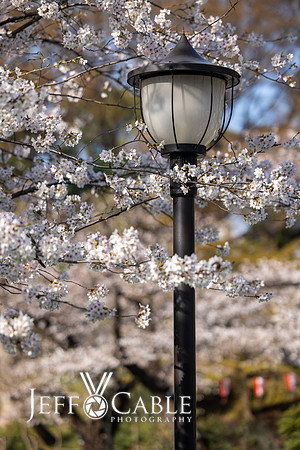 Edit-Japan-Photo-Tour-0256