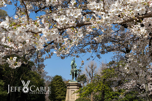 Edit-Japan-Photo-Tour-0310