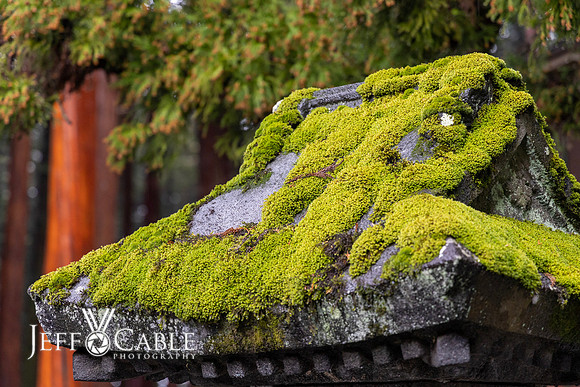 Edit-Japan-Photo-Tour-0914