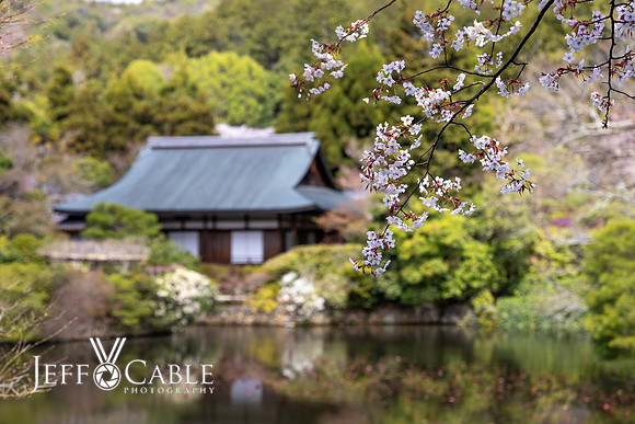 Edit-Japan-Photo-Tour-1111