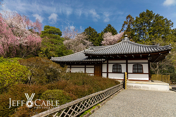 Edit-Japan-Photo-Tour-1058
