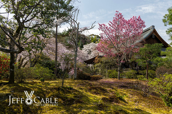 Edit-Japan-Photo-Tour-1166