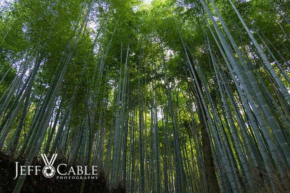 Edit-Japan-Photo-Tour-1208