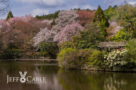 Edit-Japan-Photo-Tour-1045