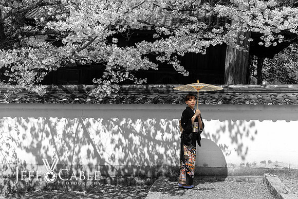 Edit-Japan-Photo-Tour-1565-Comp