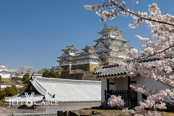 Edit-Japan-Photo-Tour-1694