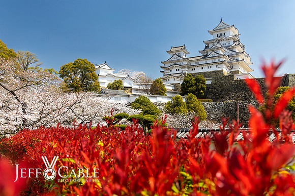 Edit-Japan-Photo-Tour-1659