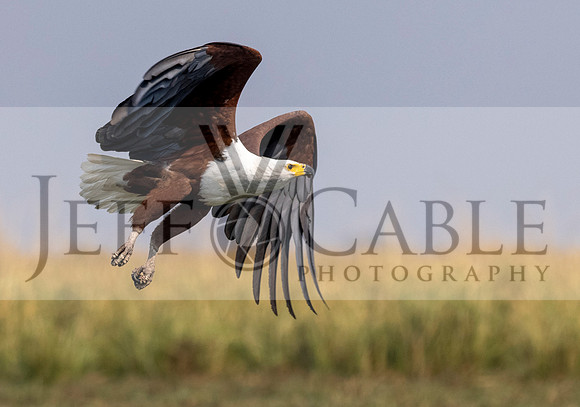 Edit-Botswana-2021-3540