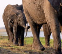Edit-Botswana-2021-2998