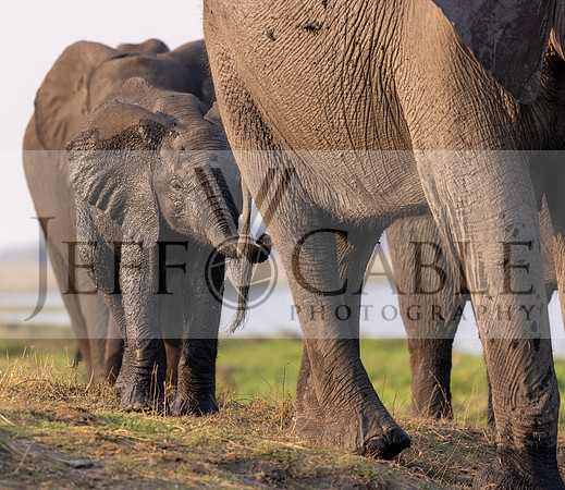 Edit-Botswana-2021-2998