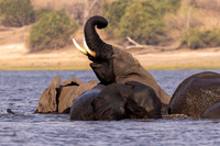 Edit-Botswana-2021-2785